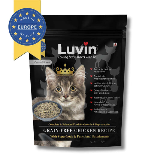 Cat food & Treats